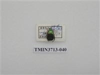 藏品(金龜子科)的圖片
